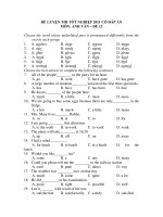 ĐỀ LUYỆN THI TỐT NGHIỆP 2011 CÓ ĐÁP ÁN MÔN: ANH VĂN – ĐỀ 13 pdf