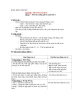 Giáo án chương trình đổi mới CHỦ ĐỀ : MỘT SỐ LOẠI RAU Đề tài : Trèo lên xuống ghế doc