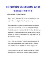 Việt Nam trong Chiến tranh thế giới lần thứ nhất (1914-1918)_1 pdf