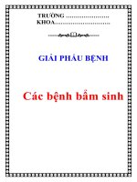 Các bệnh bẩm sinh pdf