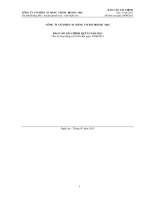 CÔNG TY cổ PHẦN XI MĂNG VICEM HOÀNG MAI báo cáo tài CHÍNH QUÝ II năm 2013 cho kỳ hoạt động từ 01 tháng 04 đến ngày 30 tháng 06 năm 2013