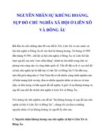 NGUYÊN NHÂN SỰ KHỦNG HOẢNG, SỤP ĐỔ CHỦ NGHĨA XÃ HỘI Ở LIÊN XÔ VÀ ĐÔNG ÂU_1 potx