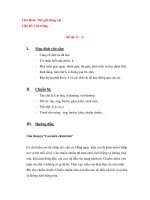 Giáo án chương trình đổi mới Chủ đề: Côn trùng.Đề tài: H – K doc