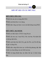 Giáo án tin học 9 - KIỂU DỮ LIỆU CÓ CẤU TRÚC FILE pot