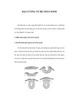 ĐẠI CƯƠNG VỀ HỆ THẦN KINH doc