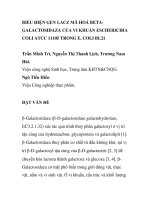 BÁO CÁO KHOA HỌC: 