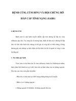 BỆNH CÚM, CÚM H5N1 VÀ HỘI CHỨNG HÔ HẤP CẤP TÍNH NẶNG (SARS) pps