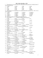 ĐỀ LUYỆN THI HSG – SỐ 5 ppsx