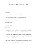 Chẩn đoán hình ảnh của lao phổi pps