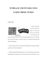 TI THể & SỰ CHUYỂN HOÁ NĂNG LƯỢNG TRONG TẾ BÀO ppsx