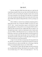 Nghiên cứu giá trị của nội soi màng phổi trong chẩn đoán và điều trị tràn khí màng phổi