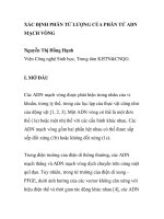 BÁO CÁO KHOA HỌC: 