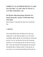 BÁO CÁO KHOA HỌC: 