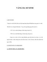 VÀNG DA SƠ SINH ppsx