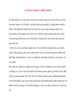 AI ĐÁNG KHEN NHIỀU HƠN ppsx