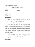 Giáo ám địa lý 11 - Bài 11 Khu vực đông nam á Tiết 2 kinh tế potx