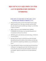 HỘI CHỨNG SUY KIỆT PHỔI CẤP TÍNH (ACUTE RESPIRATORY DISTRESS SYNDROME) pot
