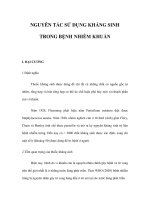 NGUYÊN TẮC SỬ DỤNG KHÁNG SINH TRONG BỆNH NHIỄM KHUẨN doc