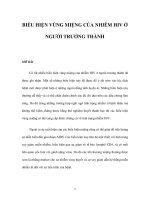 BIỂU HIỆN VÙNG MIỆNG CỦA NHIỄM HIV Ở NGƯỜI TRƯỞNG THÀNH pptx