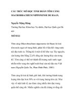 BÁO CÁO KHOA HỌC: 