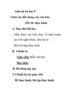 Giáo án tin học 9 - Chèn các đối tượng vào văn bản Tiết 30: thực hành pot