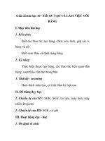 Giáo án tin học 10 - Tiết 53: TẠO VÀ LÀM VIỆC VỚI BẢNG pot