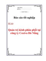 Báo cáo tốt nghiệp: Quản trị kênh phân phối tại công ty Coxiva Đà Nẵng pot