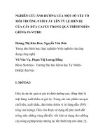 BÁO CÁO KHOA HỌC: 