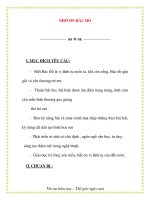 Giáo án chương trình mới: Lớp lá NHỚ ƠN BÁC HỒ ppt