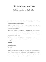 VIÊN NÉN VITAMIN B1, B6 VÀ B12 potx