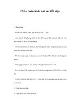 Chẩn đoán hình ảnh sỏi tiết niệu pdf