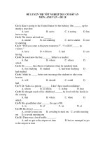 ĐỀ LUYỆN THI TỐT NGHIỆP 2011 CÓ ĐÁP ÁN MÔN: ANH VĂN – ĐỀ 18 doc