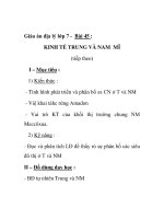 Giáo án địa lý lớp 7 - Bài 45 : KINH TẾ TRUNG VÀ NAM MĨ (tiếp theo) potx