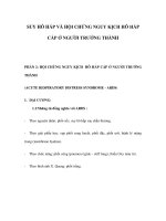 SUY HÔ HẤP VÀ HỘI CHỨNG NGUY KỊCH HÔ HẤP CẤP Ở NGƯỜI TRƯỞNG THÀNH pot