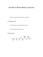 NGUYÊN LÝ DÙNG THUỐC CẢN QUANG pot