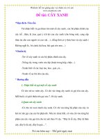 Giáo án chương trình mới: Lớp lá Đề tài: CÂY XANH pdf