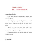 Giáo án chương trình đổi mới Chủ điểm : CÂY XANH Đề tài : Vẽ vườn cây ăn quả pdf