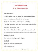 Giáo án chương trình mới: Lớp Chồi Chủ đề: Thế giới cây xanh Đề tài: Những chiếc lá kì diệu potx