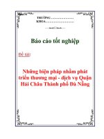 Báo cáo tốt nghiệp: Những biện pháp nhằm phát triển thương mại - dịch vụ Quận Hải Châu Thành phố Đà Nẵng pdf