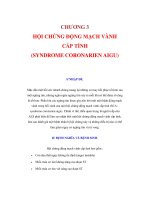 CHƯƠNG 3 HỘI CHỨNG ĐỘNG MẠCH VÀNH CẤP TÍNH docx