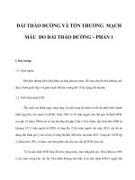 ĐÁI THÁO ĐƯỜNG VÀ TỔN THƯƠNG MẠCH MÁU DO ĐÁI THÁO ĐƯỜNG – PHẦN 1 doc