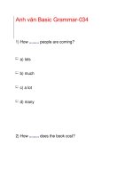 Anh văn Basic Grammar-034 ppt