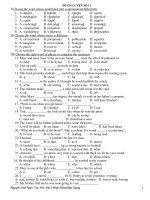 ĐỀ ÔN LUYỆN SỐ 11 ppsx