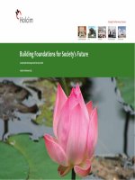 building foundations for societys future sustainable development review 2010 holcim vietnam ltd