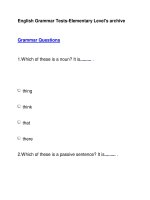 English Grammar Tests-Elementary Level''''s archiveGrammar Questions1 docx