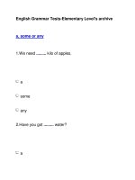 English Grammar Tests-Elementary Level''''s archivea, some or any docx