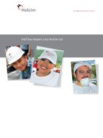Half year report 2013 holcim ltd strength performance passion