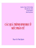 CÁC QUÁ TRÌNH SINH HỌC Ở MỨC PHÂN TỬ part 1 docx