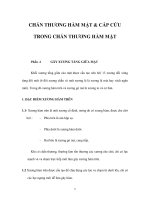 CHẤN THƯƠNG HÀM MẶT & CẤP CỨU TRONG CHẤN THƯƠNG HÀM MẶT potx