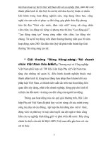 THỰC TRẠNG TẬP HỢP NỮ TRÍ THỨC CỦA HỘI LIÊN HIỆP PHỤ NỮ VIỆT NAM VÀ ĐỀ XUẤT GIẢI PHÁP - PHẦN 2 pot